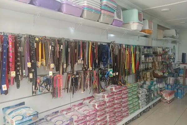 A Vet Avrupa Veteriner Kliniği - Resim 16