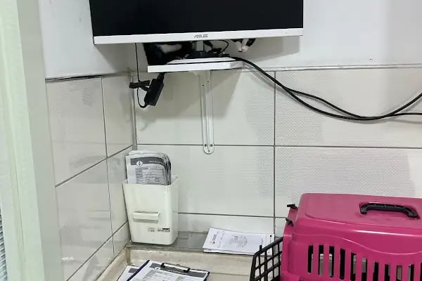 A Vet Avrupa Veteriner Kliniği - Resim 15
