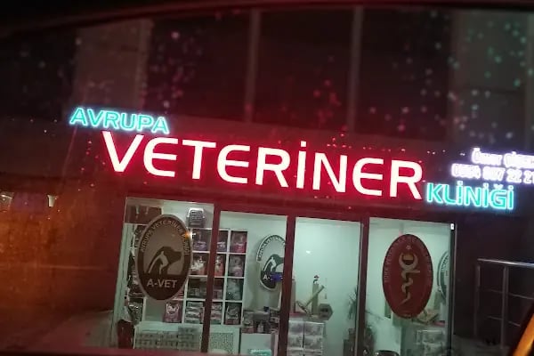 A Vet Avrupa Veteriner Kliniği - Resim 20