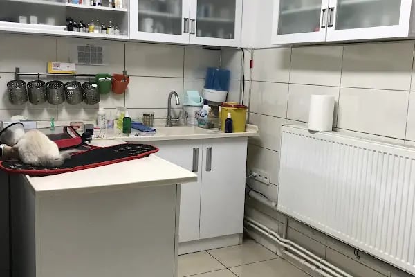 A Vet Avrupa Veteriner Kliniği - Resim 12