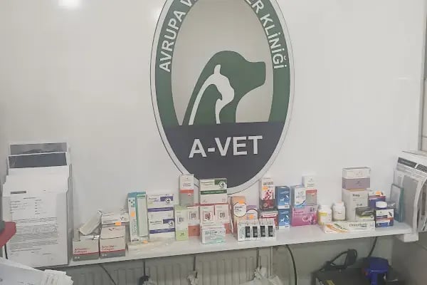 A Vet Avrupa Veteriner Kliniği - Resim 19