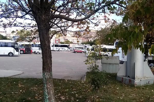 Çan Otogarı - Resim 12