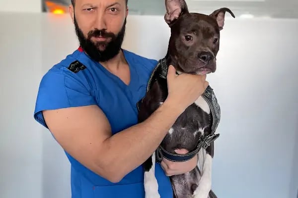 Barış Ulutaş - Resim 5