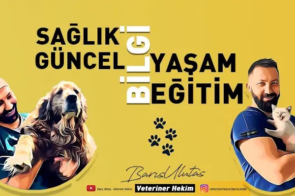 Barış Ulutaş - Resim 11
