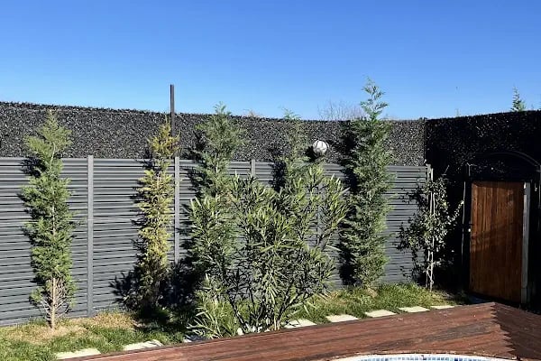 Sapanca Sunday Bungalov Resort Otel - Resim 11