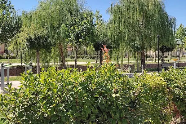 Nüjava Park - Resim 11
