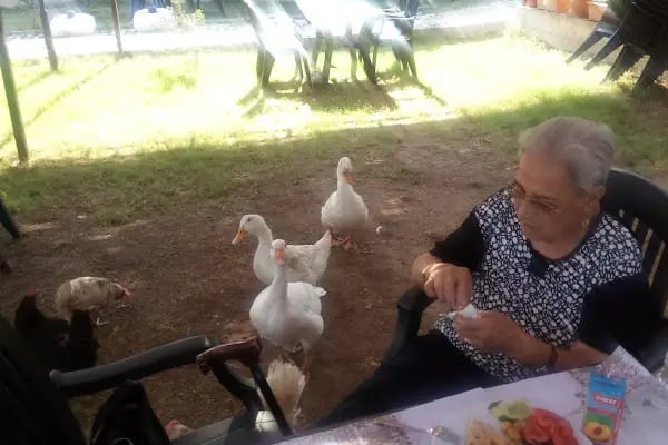 Zeytindalı Kahvalti Mangal - Resim 17