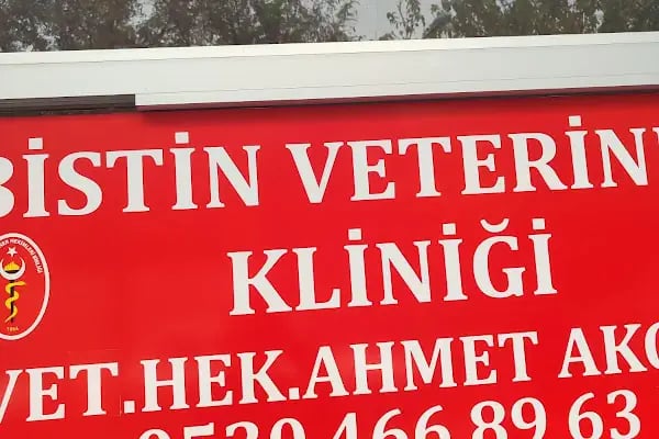 Bistin veteriner - Resim 18