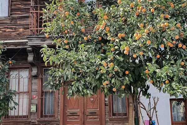 Çat Kapı Restaurant - Resim 7
