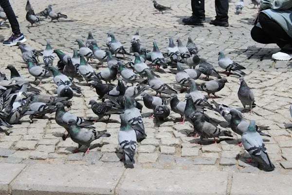 Ankara Büyükşehir Belediyesi Haci Bayram-I Veli Çarşisi - Resim 19