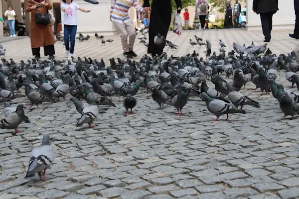 Ankara Büyükşehir Belediyesi Haci Bayram-I Veli Çarşisi - Resim 16