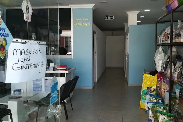 Kocapınar Veteriner Kliniği - Resim 5