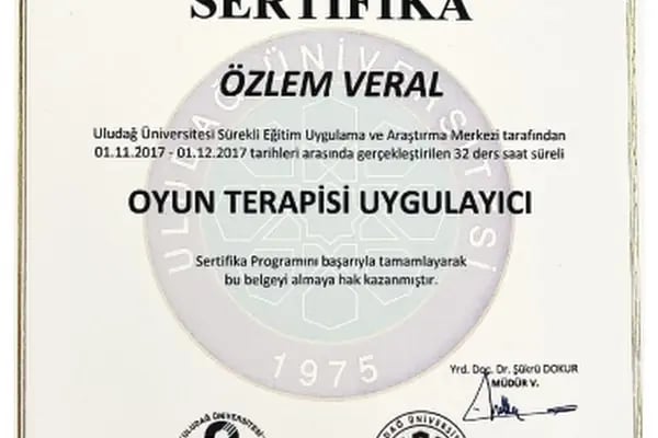 Uzman Psikolog Özlem Veral - Resim 8
