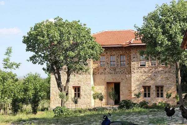 Yaşayan Köy Müze Otel - Resim 4