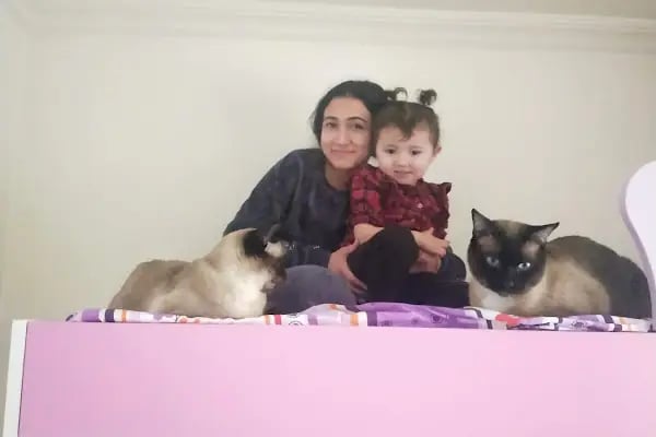 İkra petshop - Resim 4