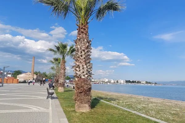 Çamlıbel Büfe Plaj - Resim 6
