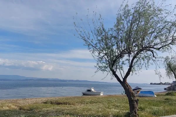 Çamlıbel Büfe Plaj - Resim 4