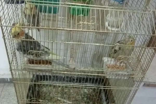 Doğa Pet Shop - Resim 3
