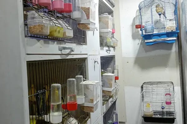 Doğa Pet Shop - Resim 6