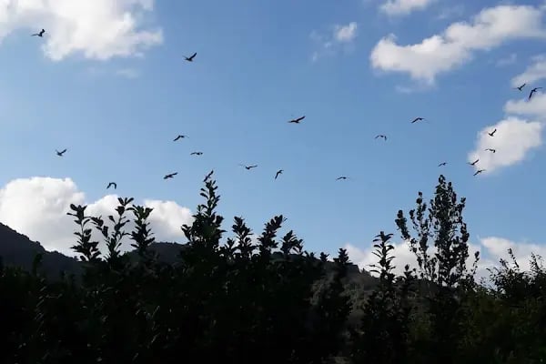 Yuvacık İlkokul ve Ortaokulu - Resim 16