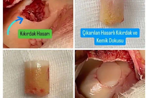 Doç. Dr. Mehmet Emin Şimşek - Resim 20