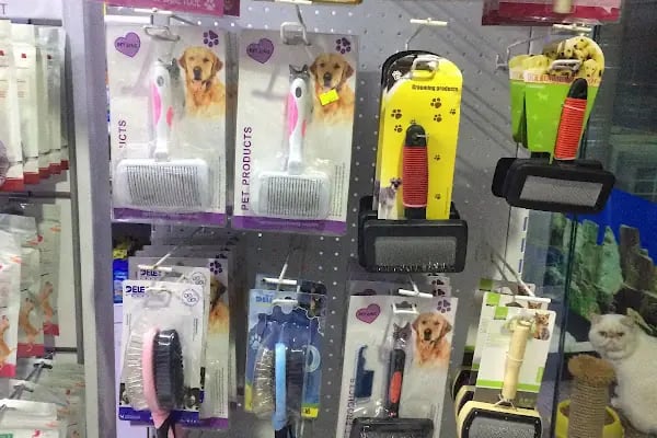 Nesil Akvaryum Petshop - Resim 16