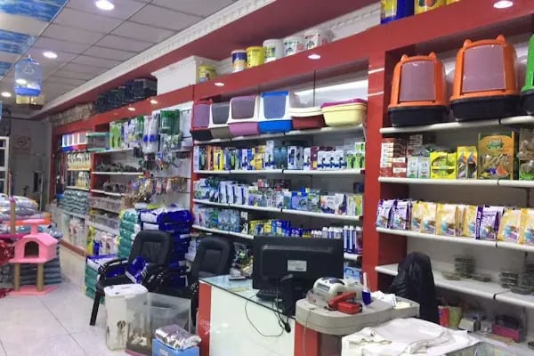 Nesil Akvaryum Petshop - Resim 9