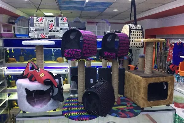 Nesil Akvaryum Petshop - Resim 11