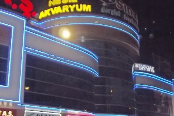 Nesil Akvaryum Petshop - Resim 2
