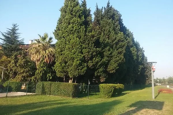 Seka Park Hotel - Resim 15