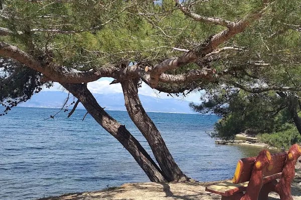 Kocaeli Yonca Tatil Sitesi - Resim 4