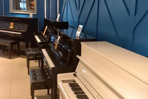 Müzik Mağazası - Resim 14