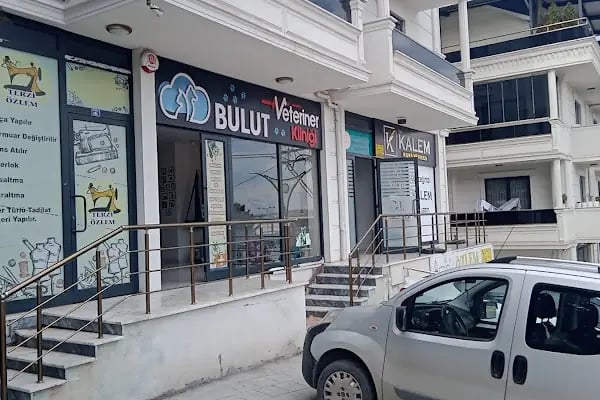 BULUT Veteriner Kliniği - Resim 2