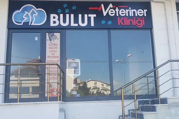 BULUT Veteriner Kliniği - Resim 5