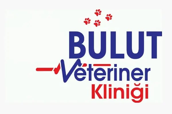 BULUT Veteriner Kliniği - Resim 4