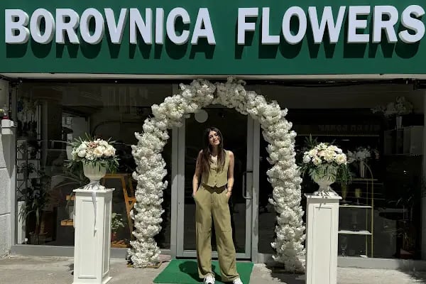 Borovnica Flowers (Kahramankazan) - Resim 2
