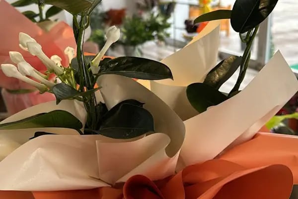 Borovnica Flowers (Kahramankazan) - Resim 11
