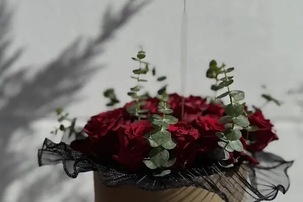 Borovnica Flowers (Kahramankazan) - Resim 14