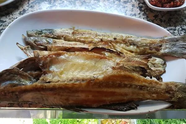 Eray Balık Restaurant - Resim 9