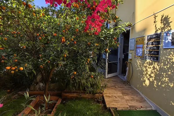 M.E.B Özel Antalya Sanat Müzik Ve Güzel Sanatlar Kursu - Resim 9