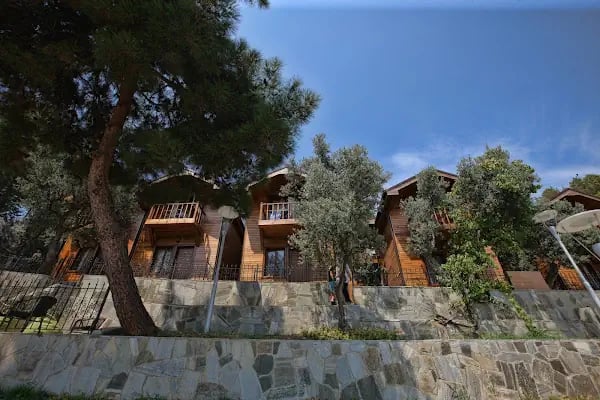 Vera Palas Resort Hotel - Resim 11