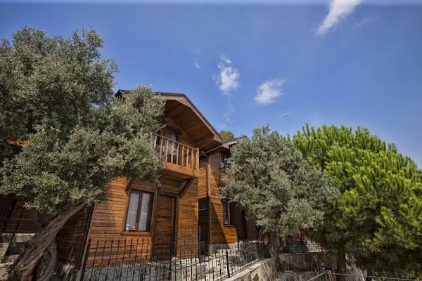 Vera Palas Resort Hotel - Resim 12