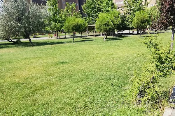 Diyarbakır Kadın Hastalıkları Doğum ve Çocuk Hastalıkları Hastanesi - Resim 3