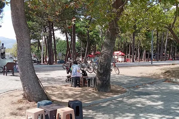 Kamp alanı İznik Gölü - Resim 10