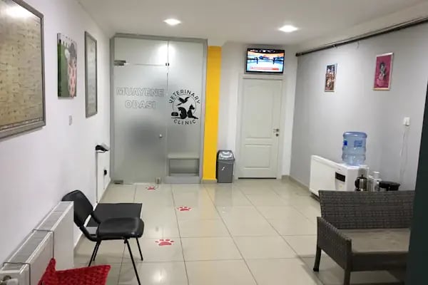 VET plus Veteriner Polikliniği 7/24 Acil - Resim 12
