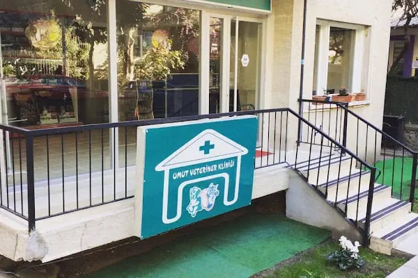 Umut veteriner kliniği - Resim 3