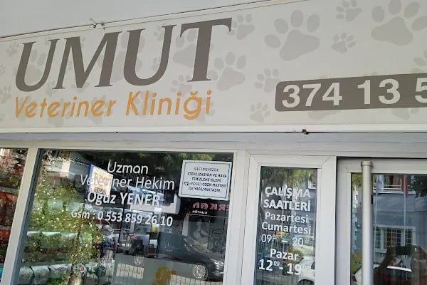 Umut veteriner kliniği - Resim 10