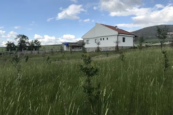 Güzelyurt Yeşil Vadi Kooperatifi - Resim 14