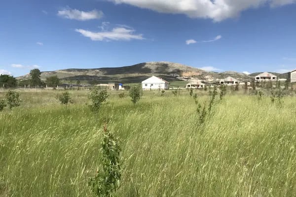 Güzelyurt Yeşil Vadi Kooperatifi - Resim 11