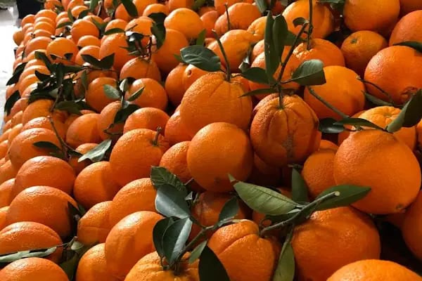 Huzurevleri Kapalı Semt Pazarı - Resim 12